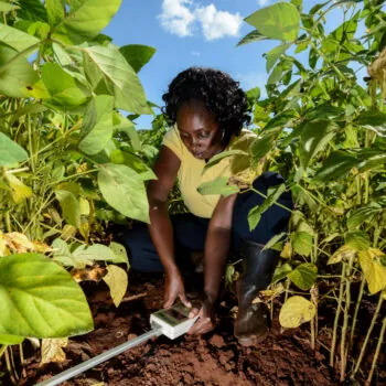 Climate-smart soil testing