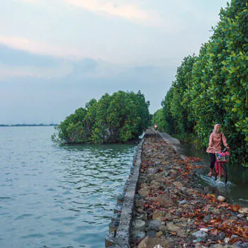 A woman on her way home from work, cycling along a path that is flooded every day by rising sea levels, in Demak, Indonesia.
