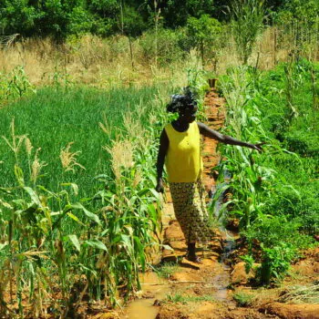 5217855344_a3d5d68519_c