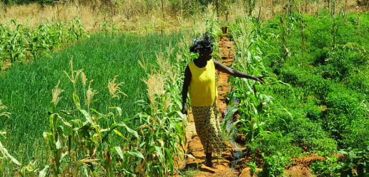 5217855344_a3d5d68519_c