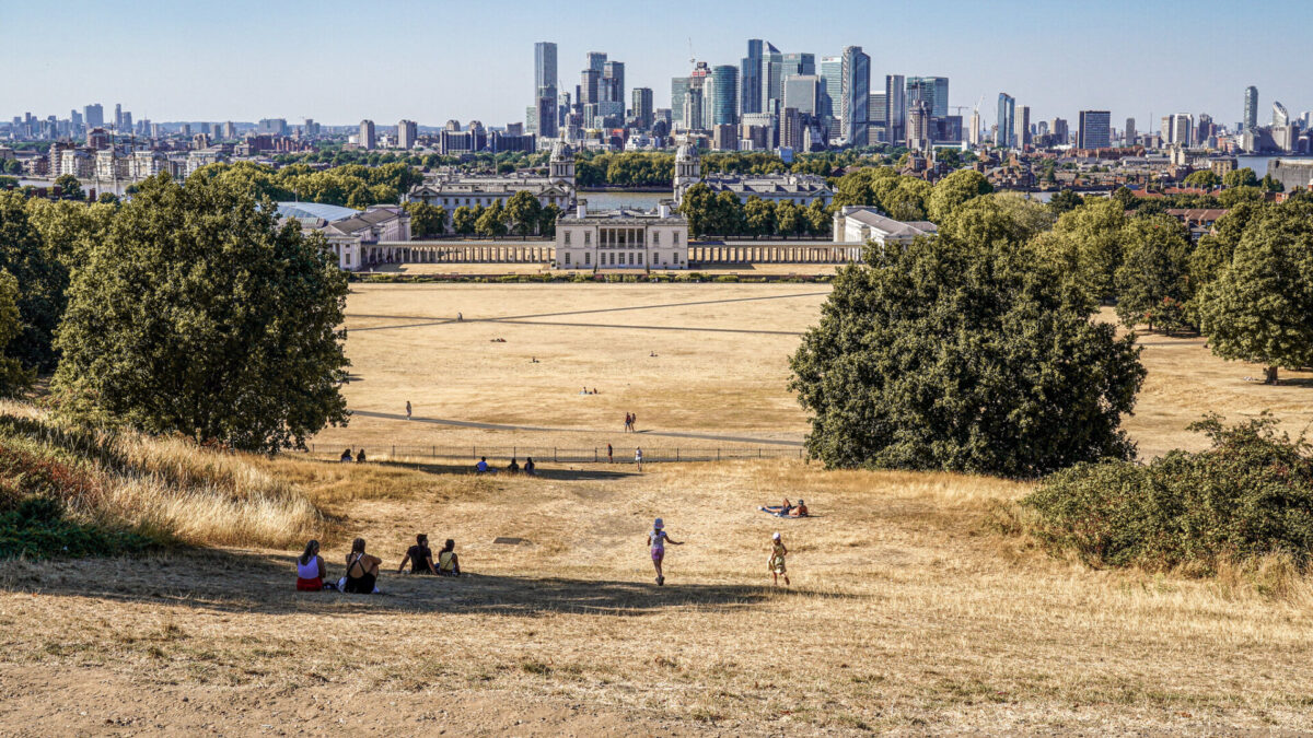 The photo shows a view over Greenwich Park savaged by weeks of extreme heat and drought.