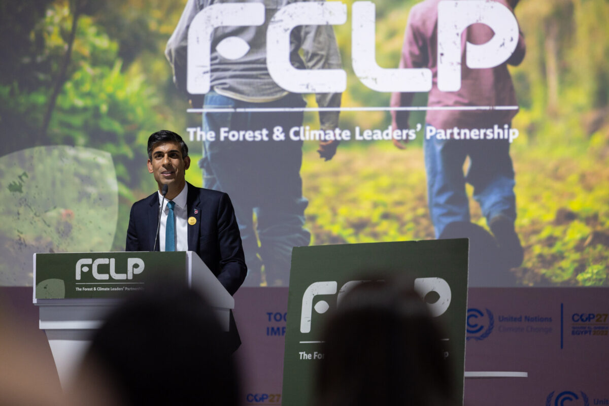 This picture shows he Prime Minister Rishi Sunak addressing the UK chaired 'Forest and Climate Leaders Summit' event on the first day of COP27 in Sharm el-Sheik last November.