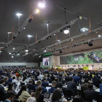 54906352126_e48fd8d407_c