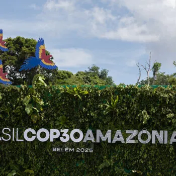 54907782436_7bd2799a5a_c