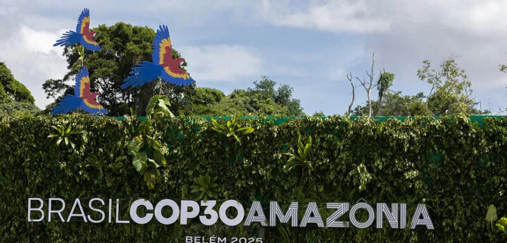 54907782436_7bd2799a5a_c