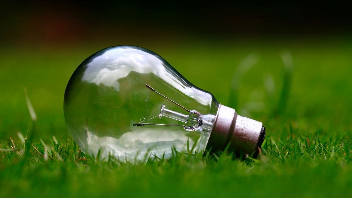A lightbulb against a backdrop of green grass. Photo by Ashes Sitoula on Unsplash.