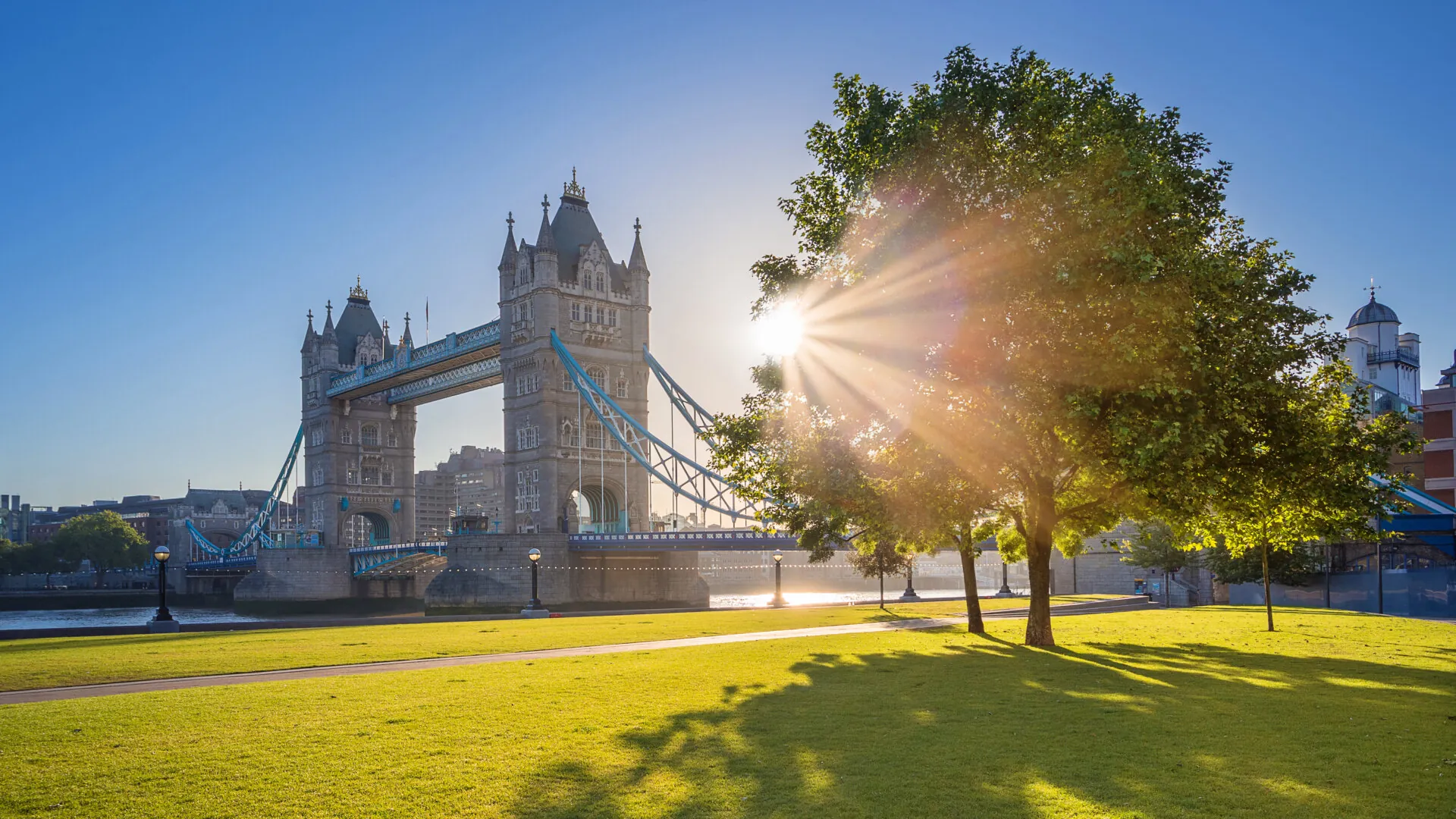 London, UK – Iconic Tower Bridge at sunrise in the morning with sunlight, tree, blue sky and green grass