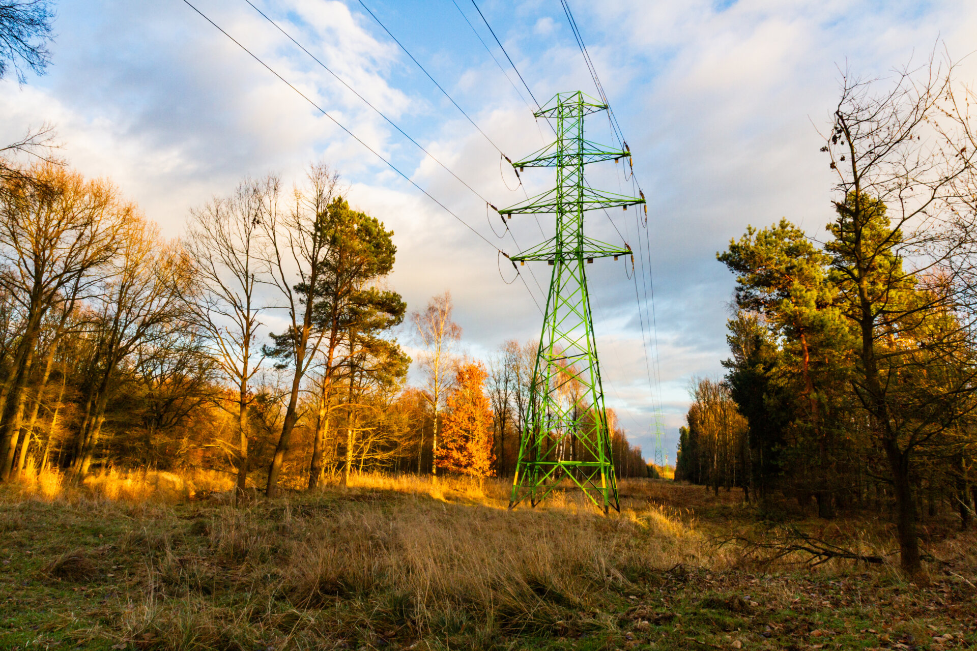 High voltage transmission towers running through the autumn forest. Silesia, Poland