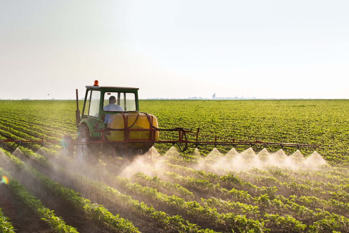 Tractor spraying soybean field