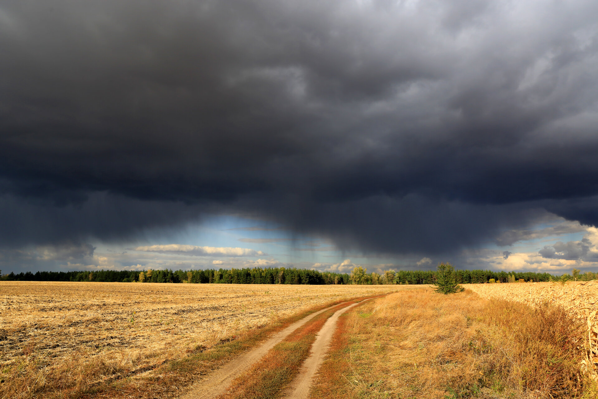 Heavy clouds over dirty road in steppe, Autumn day, landscape in Ukraine.