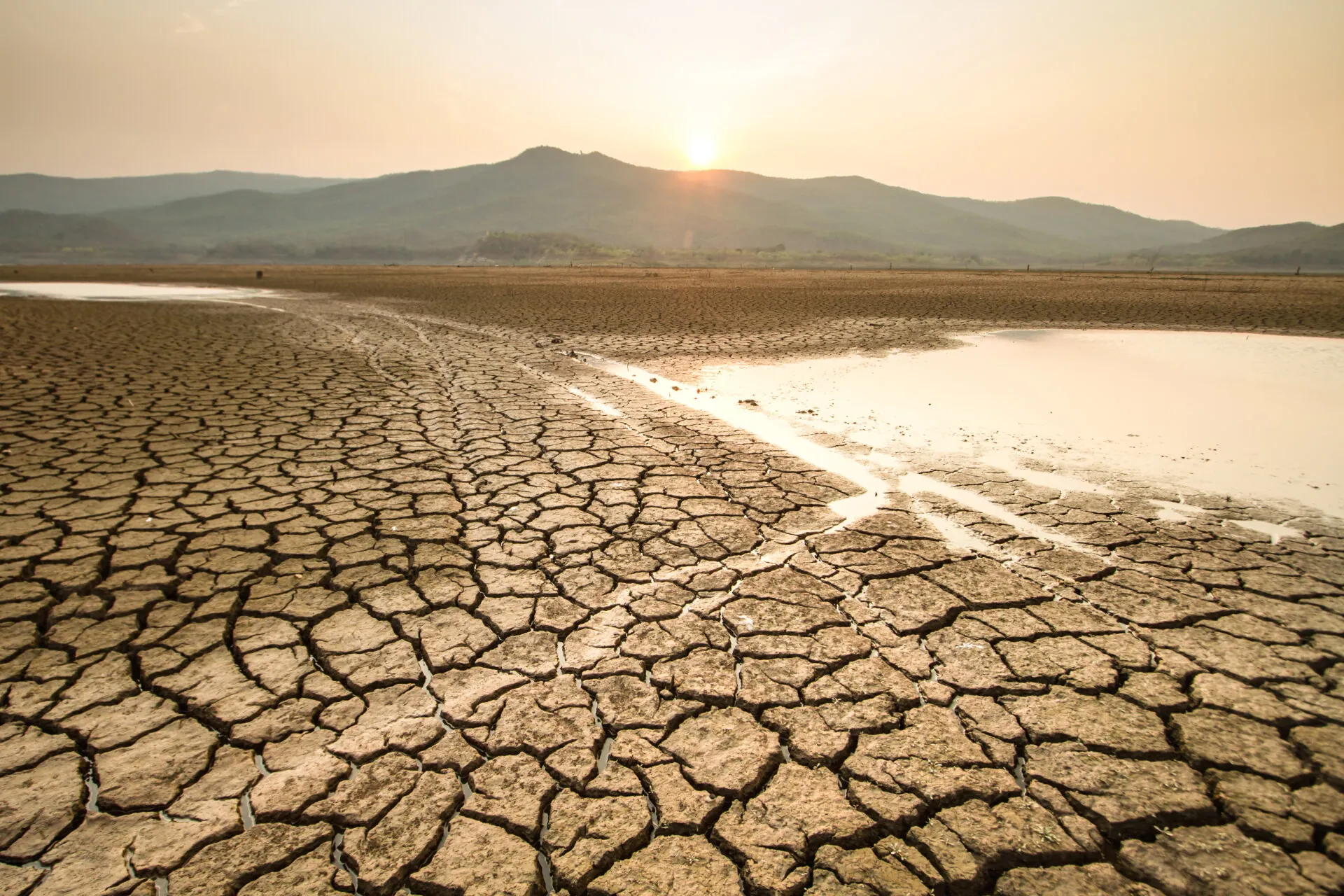 Drying lake effect of extreme weather and heating wave on summer