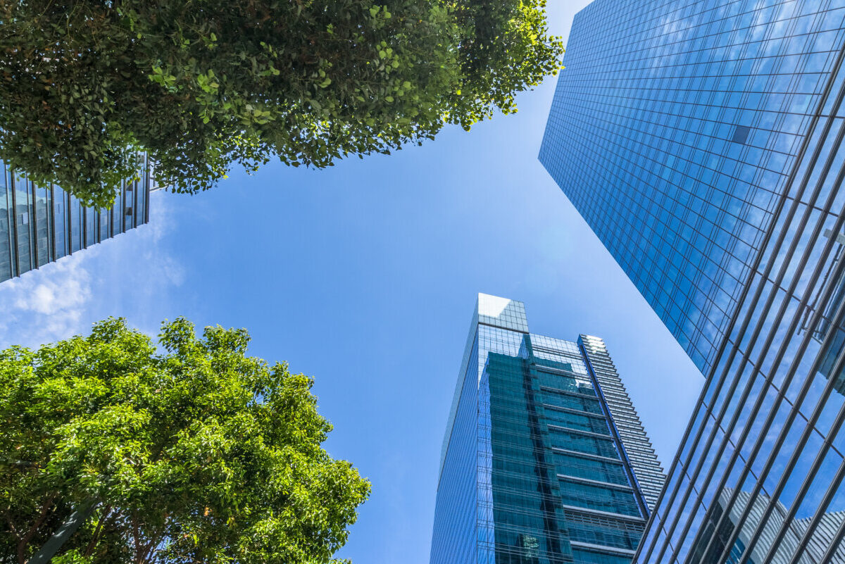 Modern office building with green trees