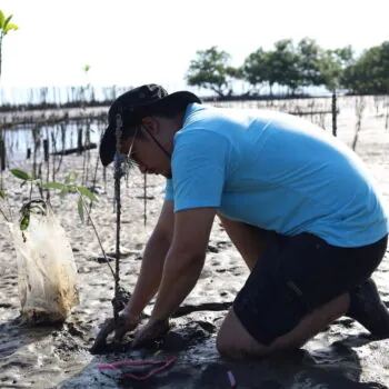 Happiness young man planting mangrove forest in Thailand.