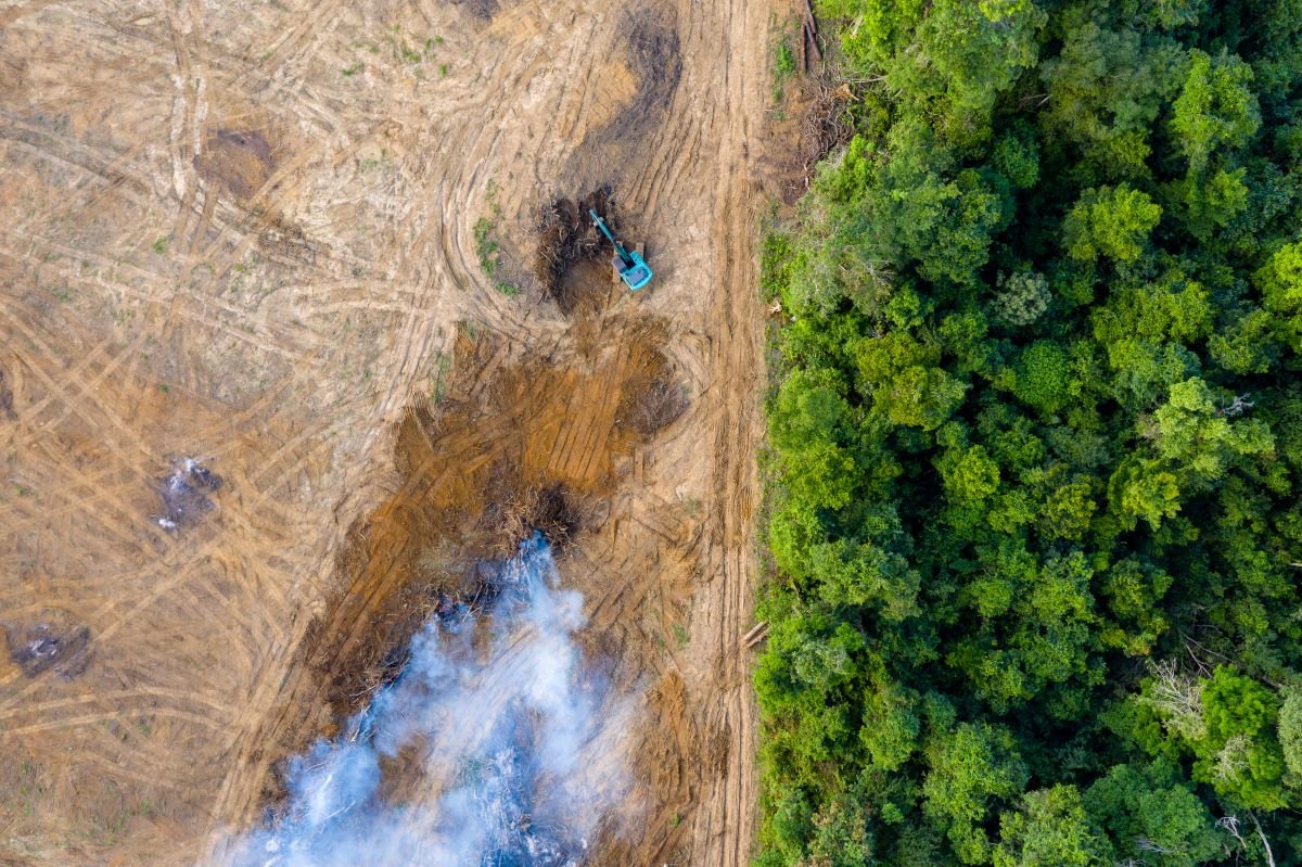 Aerial view of deforestation for agriculture as rainforest is cleared for plantations.