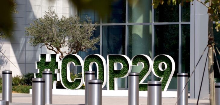 COP29