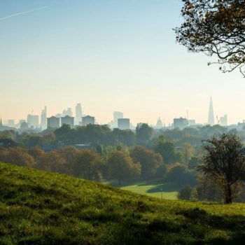 City of London framed in green from the viewpoint of Primrose Hill. Will the government's Green Finance Strategy put the UK on track to net zero?