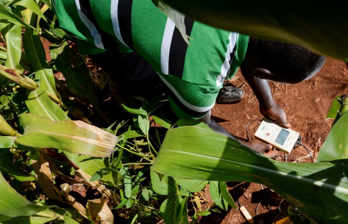 Climate-smart soils - testing soil health in Western Kenya, an example of agricultural adaptation. Photo