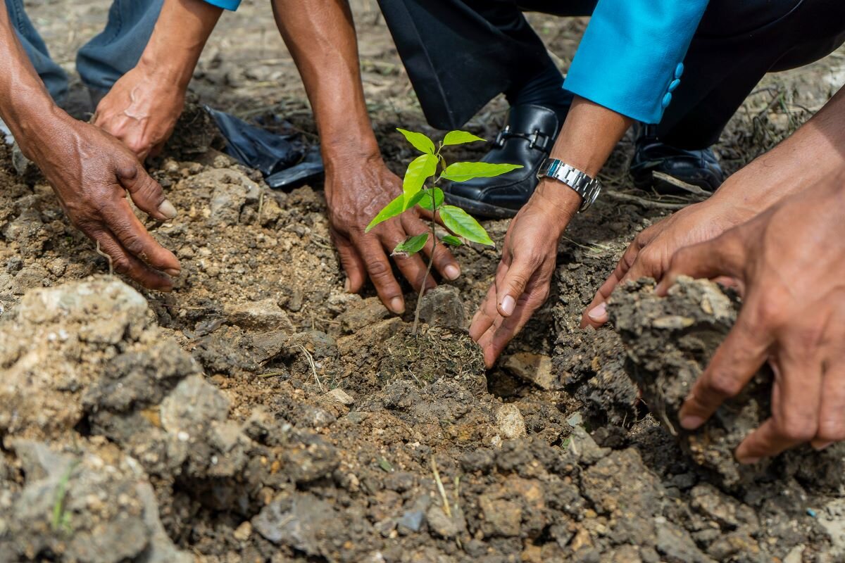 Community group planting seeds together. Photo via Adobe.