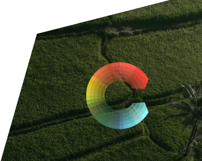 DataInsightsHeroImage