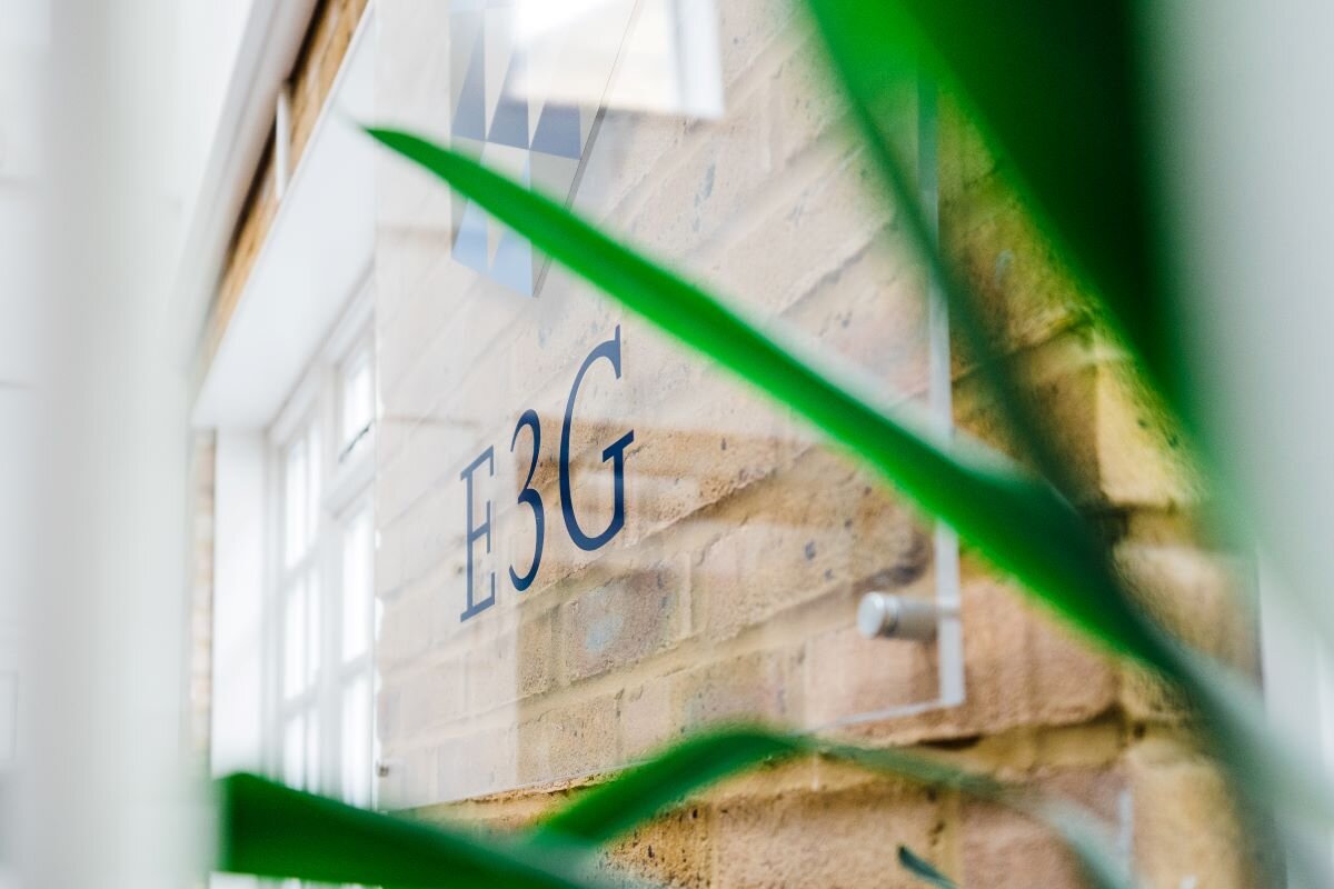 shot of the E3G office showing a brick wall, a plant and the E3G logo mounted on the wall