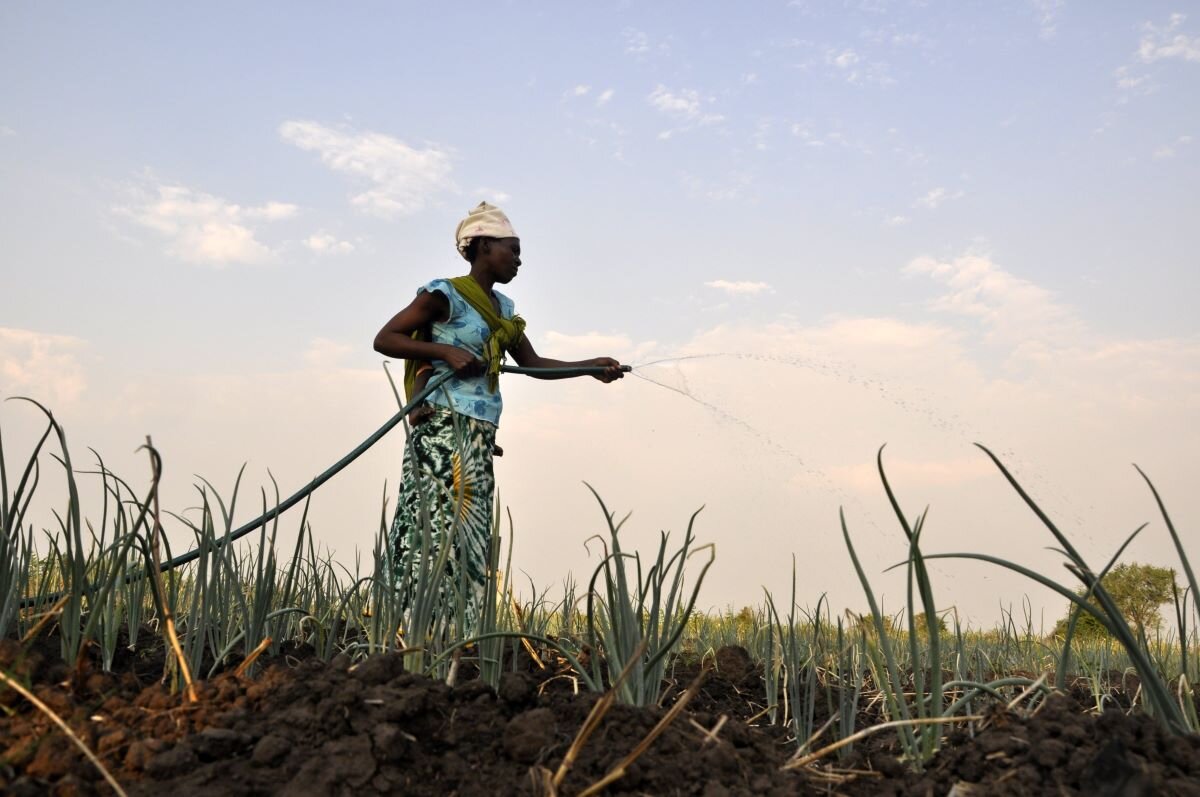 Farmer tends to an irrigation project in the Zambezi valley of Mozambique. Photo by Marcos Villalta via UK DFID on flickr.