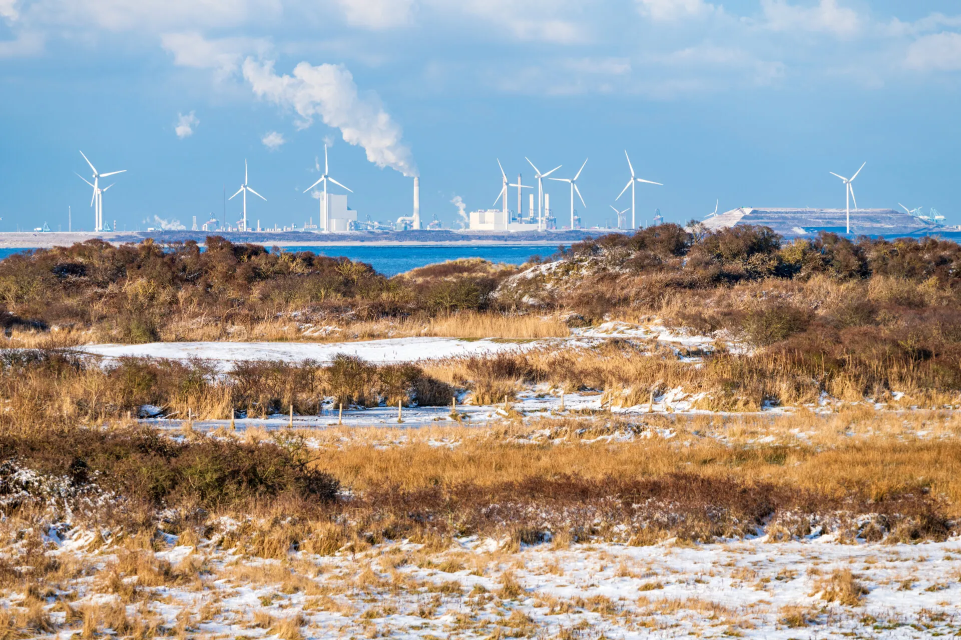 Winter landscape with snowy dunes on Goeree in the Netherlands with industry and wind turbines of the Maasvlakte in the background