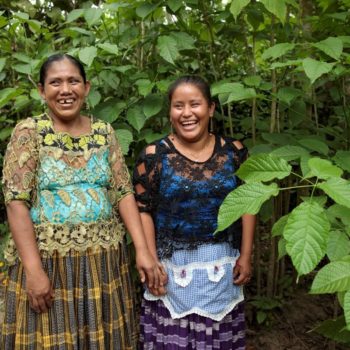 Amelia Tun Tun and Elena Sam Pec from Puente Viejo, Guatemala, participating in a joint programme by UN Women, WFP, FAO and IFAD to diversify incomes and build resilience. Photo by UN Women via Flickr.