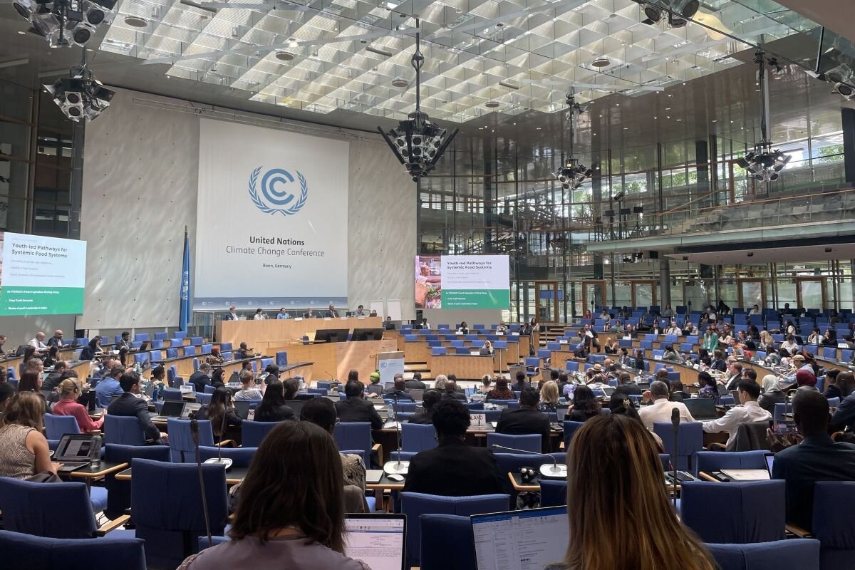 ICCN climate governance