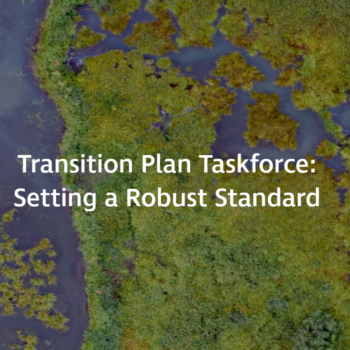 Transition Plan Taskforce