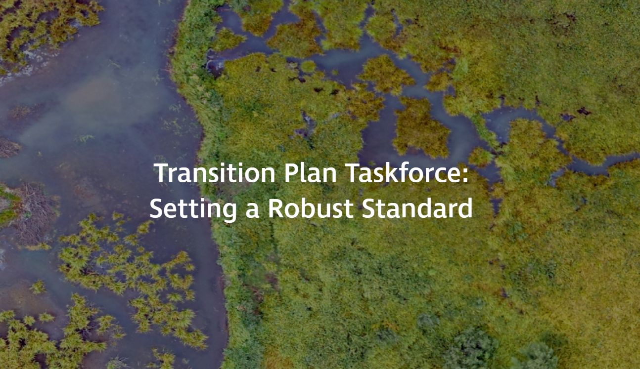 Transition Plan Taskforce
