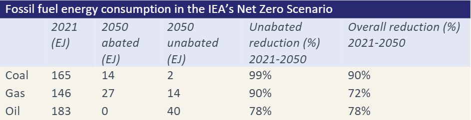 Fossil fuel energy consumption for the IEA's Net Zero scenarios