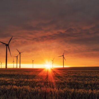 Wind turbines at sunset - Photo by Karsten Würth on Unsplash