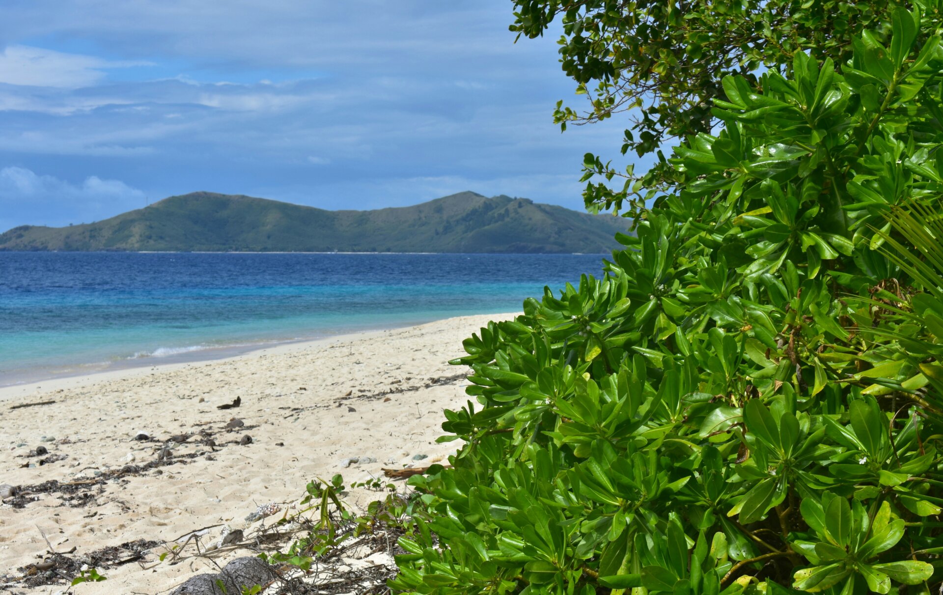 Monuriki Island, Fiji. Photo by Adam Young on Unsplash