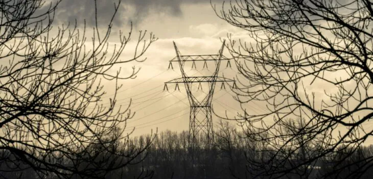 aron-marinelli-mdBsVDGYcfE-unsplash