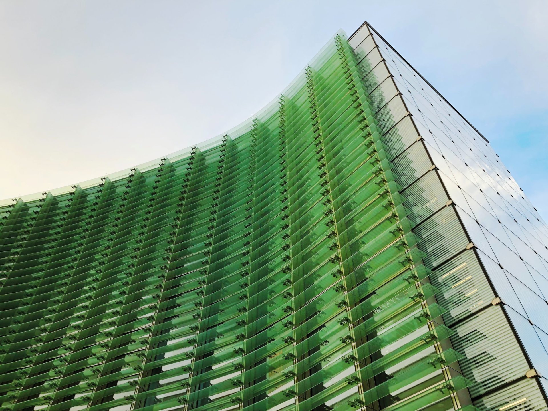 Upward-facing shot of the National Art Center in Tokyo, Japan. This shows the exterior of the curved glass building, tinted green, against a bright blue sky and white clouds. The shape resembles a cresting wave.