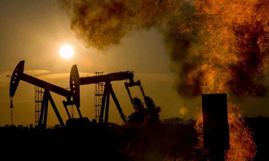 oil