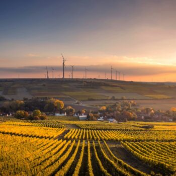 Wind turbines in fields in Germany