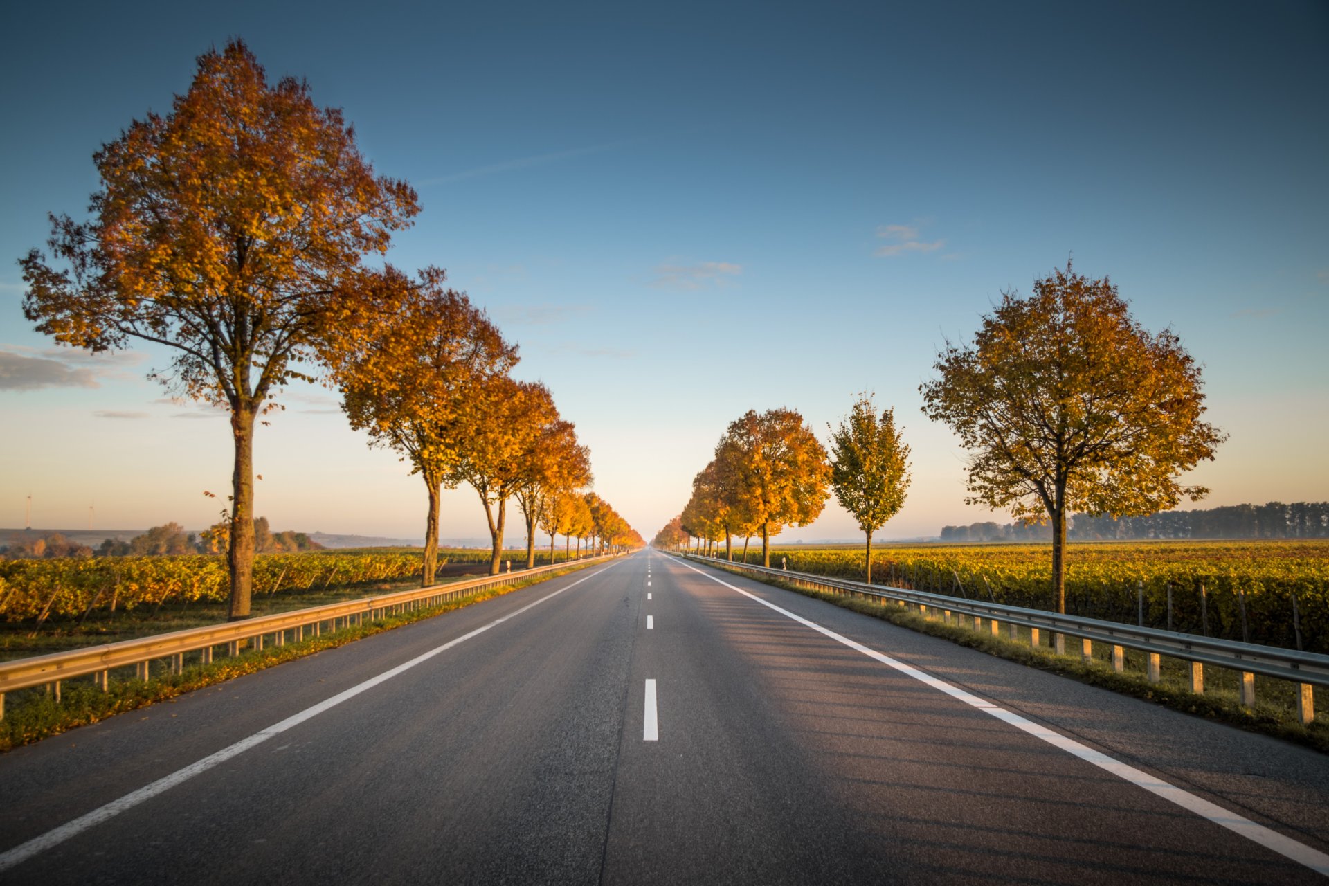 Photo of straight road ahead in Alsheim, Germany