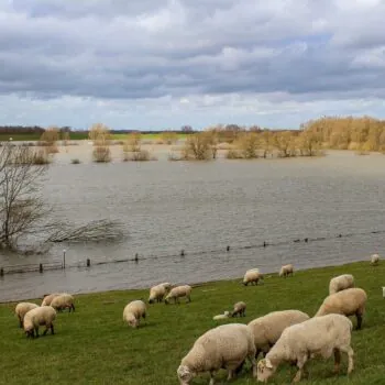 niederrhein-4892818_1280