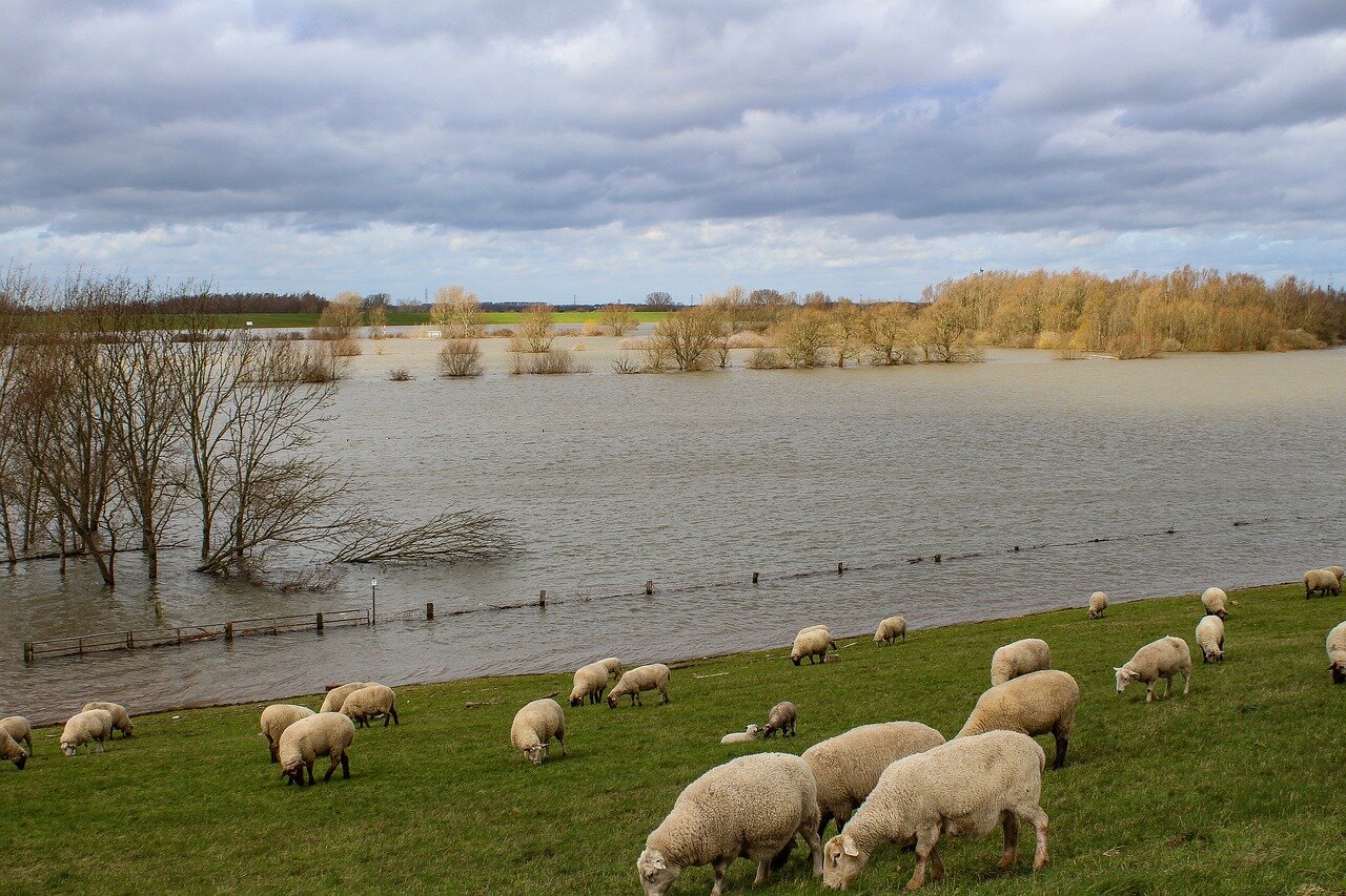 niederrhein-4892818_1280