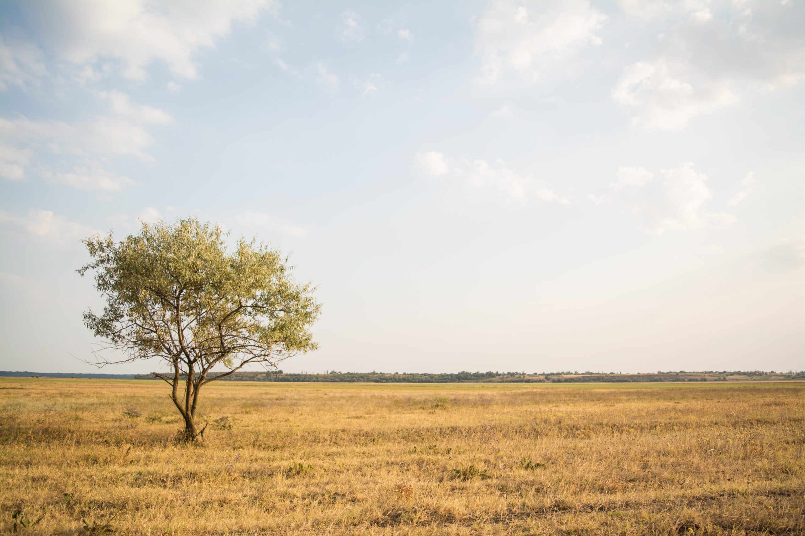 rodion-kutsaev-flat land-unsplash