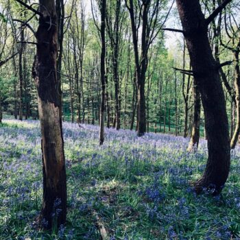 tom-rickhuss-CFd9DdIpACQ-unsplash